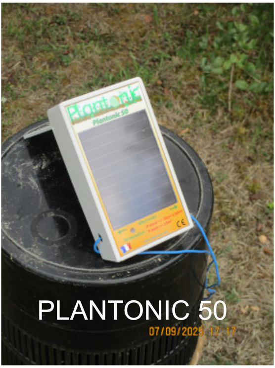 Dispositif Plantonic 50 alimenté par panneau solaire utilisé pour l’électroculture au potager